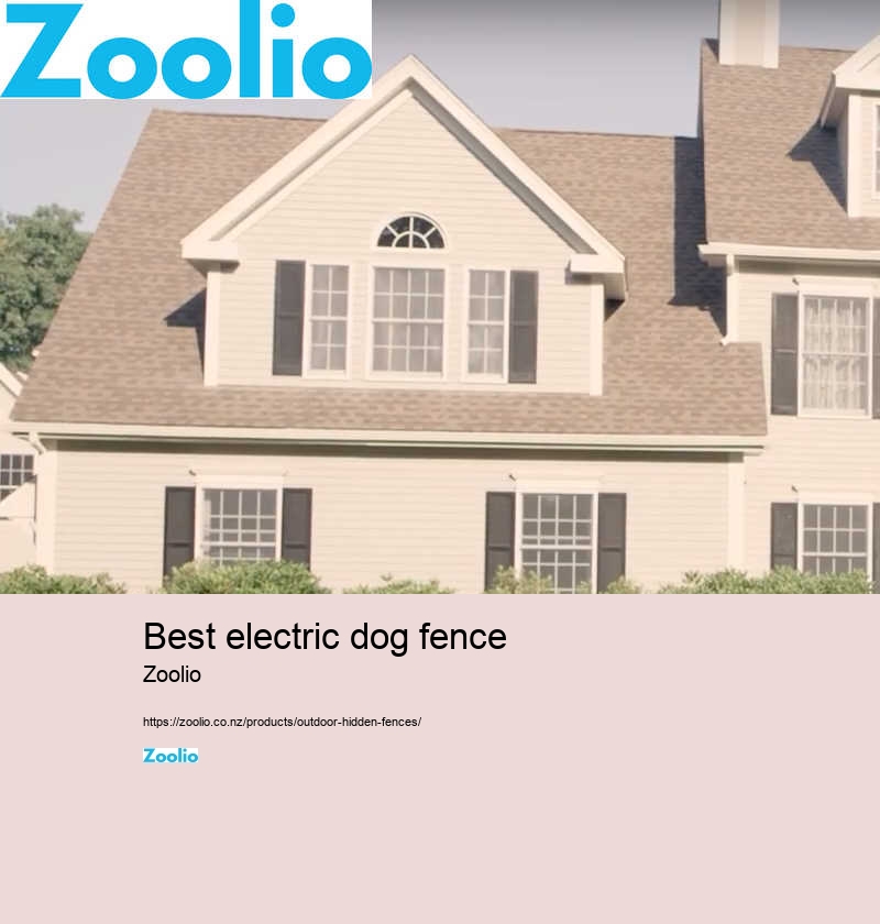 best wireless dog fence