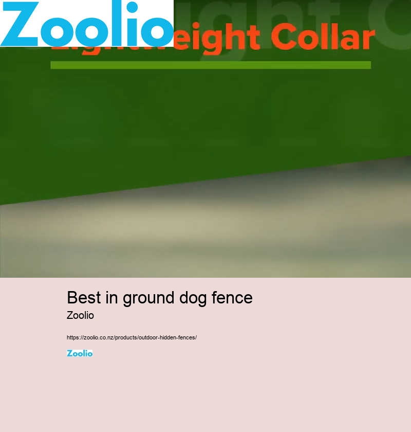 dog fence electric wire