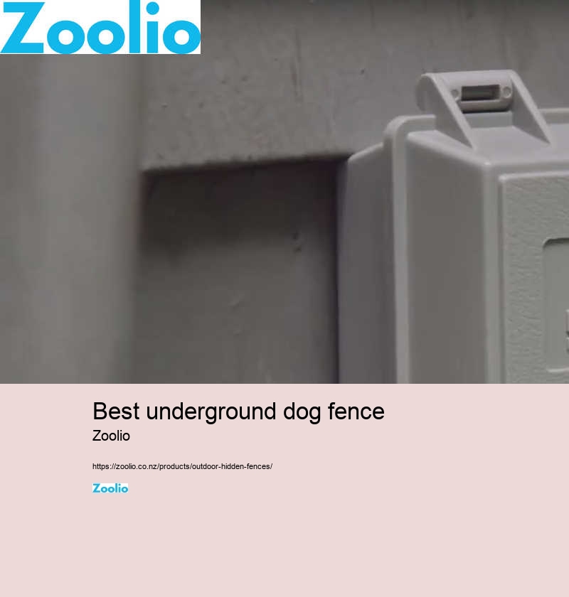 hidden electric fence for dogs