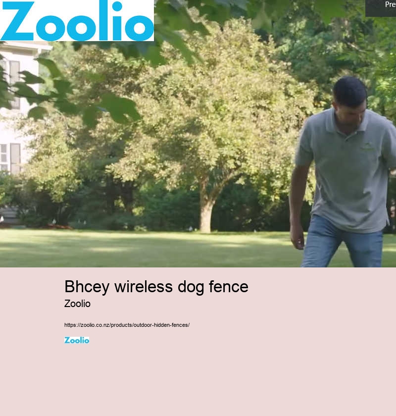 bhcey wireless dog fence