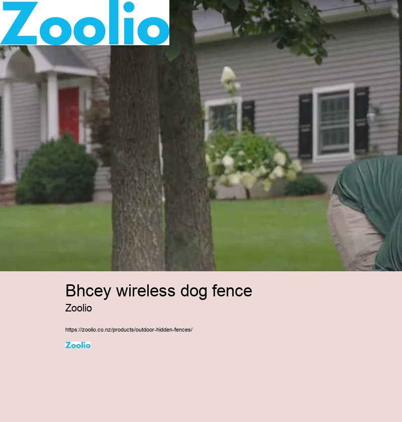 wireless dog fence