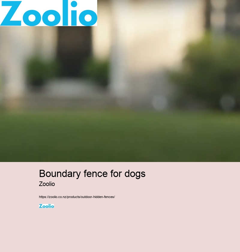 dog fence for home