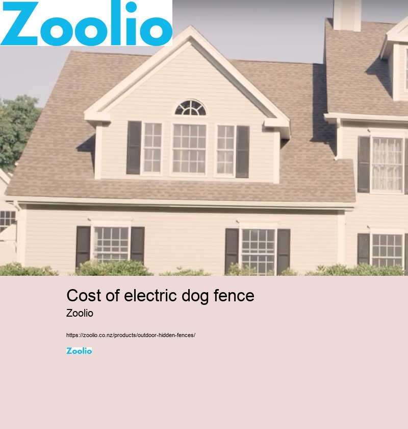 cost of electric dog fence