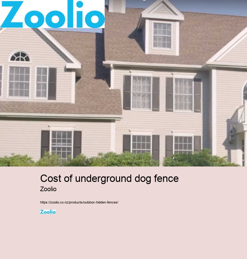 cost of underground dog fence