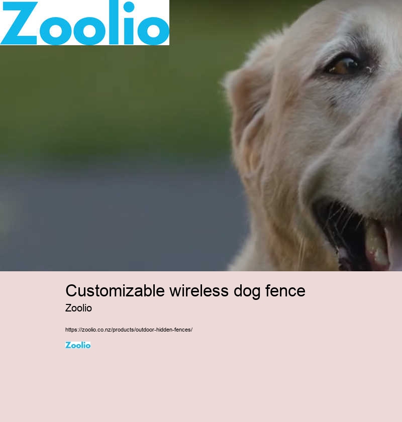 customizable wireless dog fence