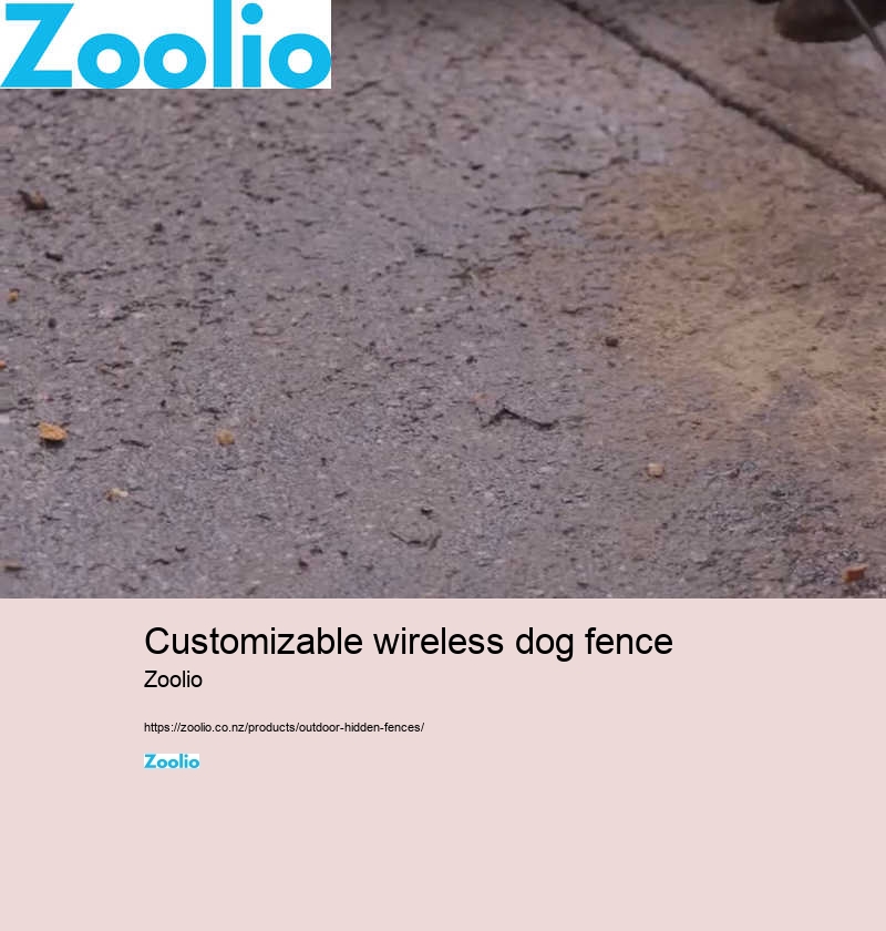 dog fence electric collar