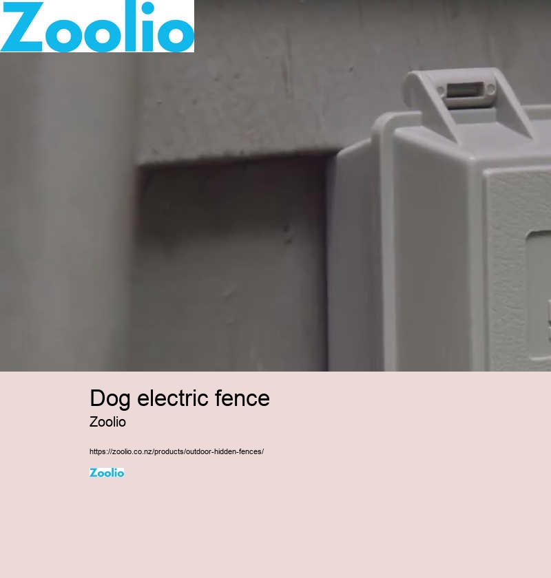 electric dog fence system