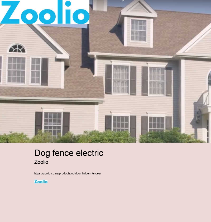 dog fence electric wire