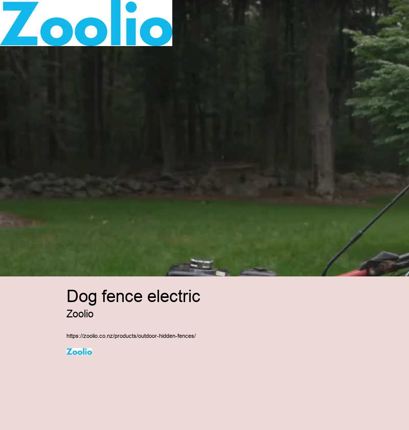 electric dog fence wireless