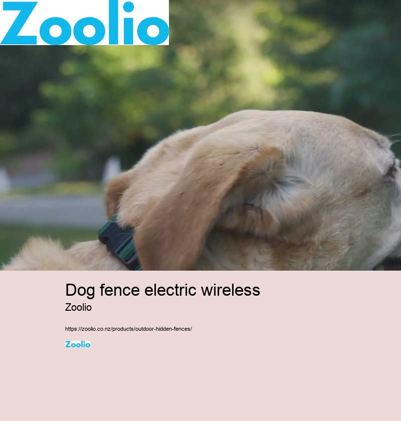 dog fence electric wireless