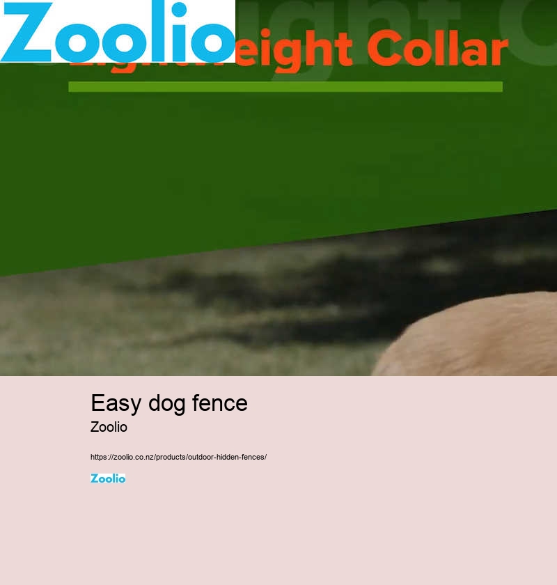 easy dog fence