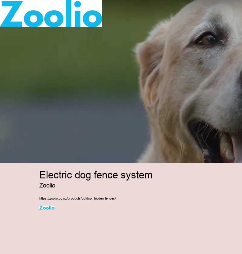 electric dog fence system