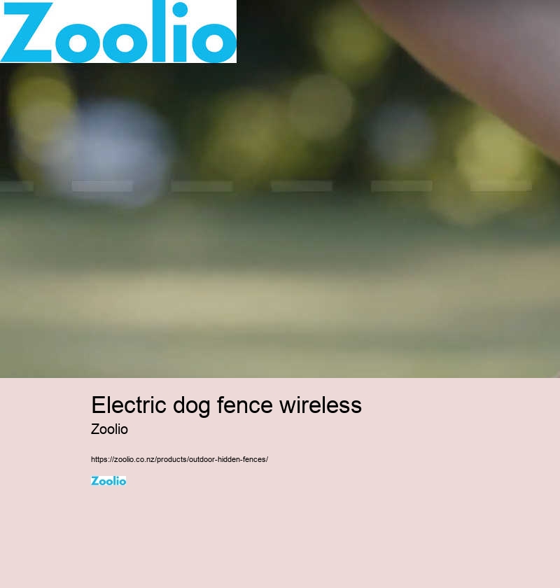 wireless dog fence nz