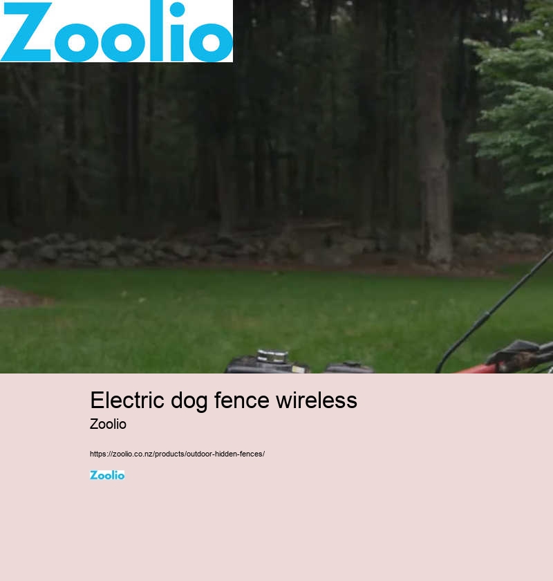 electric dog fence wireless