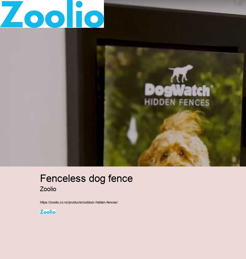 dog perimeter fence nz