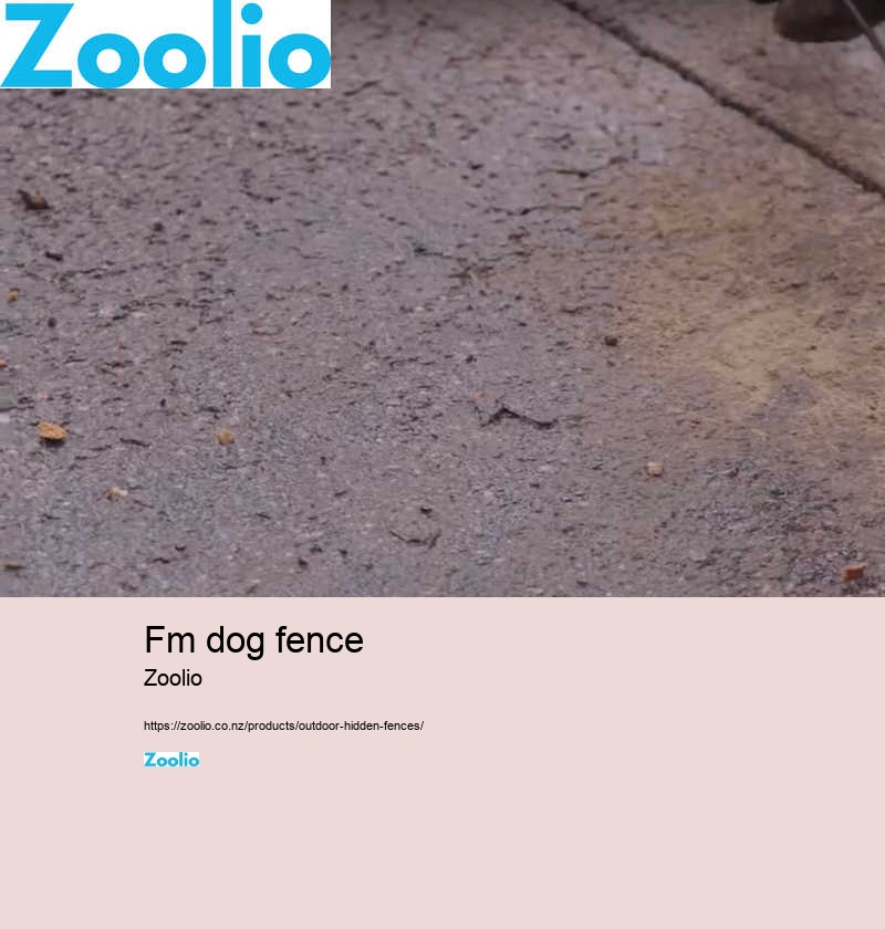 dog fence installation cost