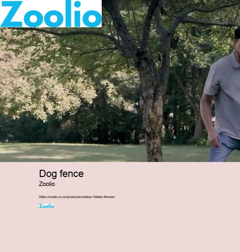 Dog Fence