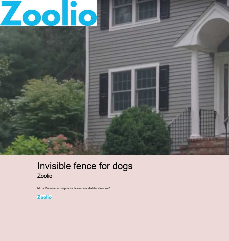 pool fence for dogs