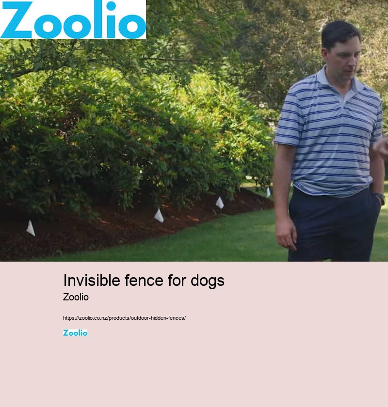 dog fence