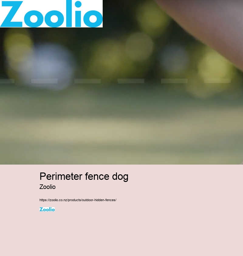 dog fence dome