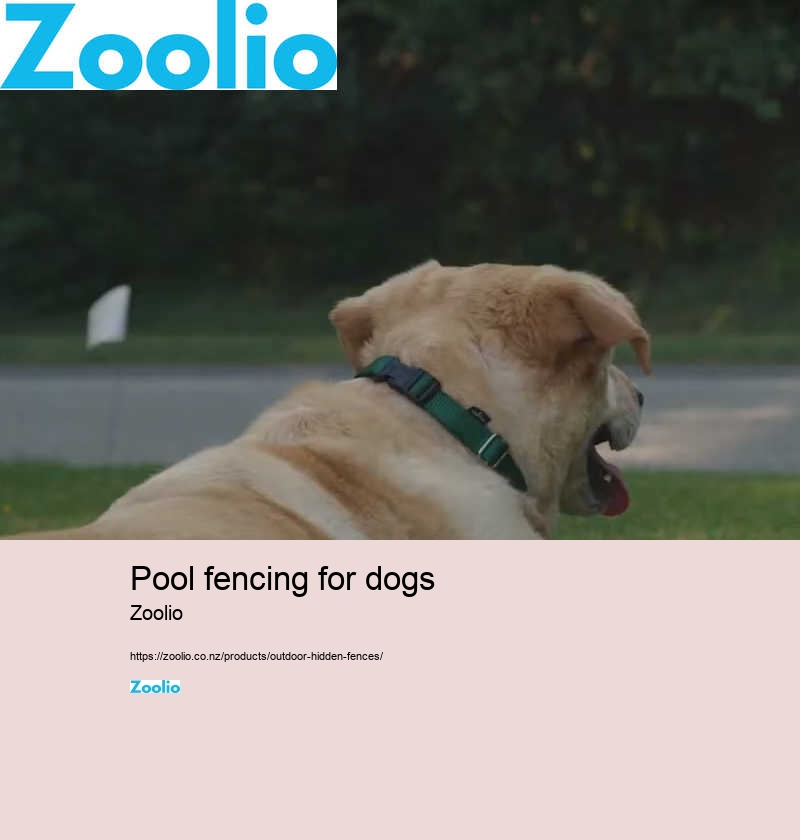 pool fencing for dogs