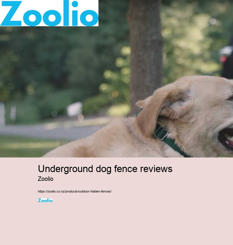 underground dog fence reviews