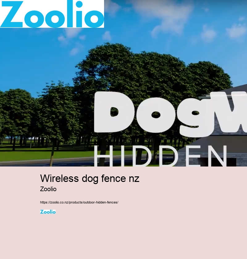 wireless dog fence nz