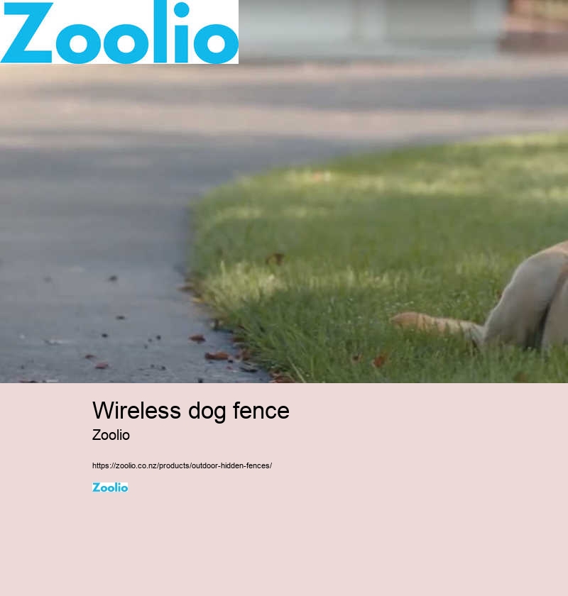 wireless dog fence